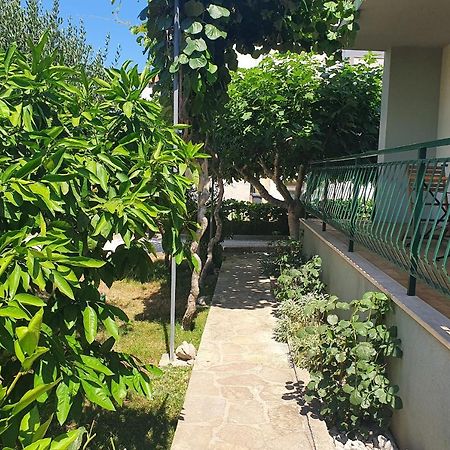 Apartman Maja 扎达尔 外观 照片