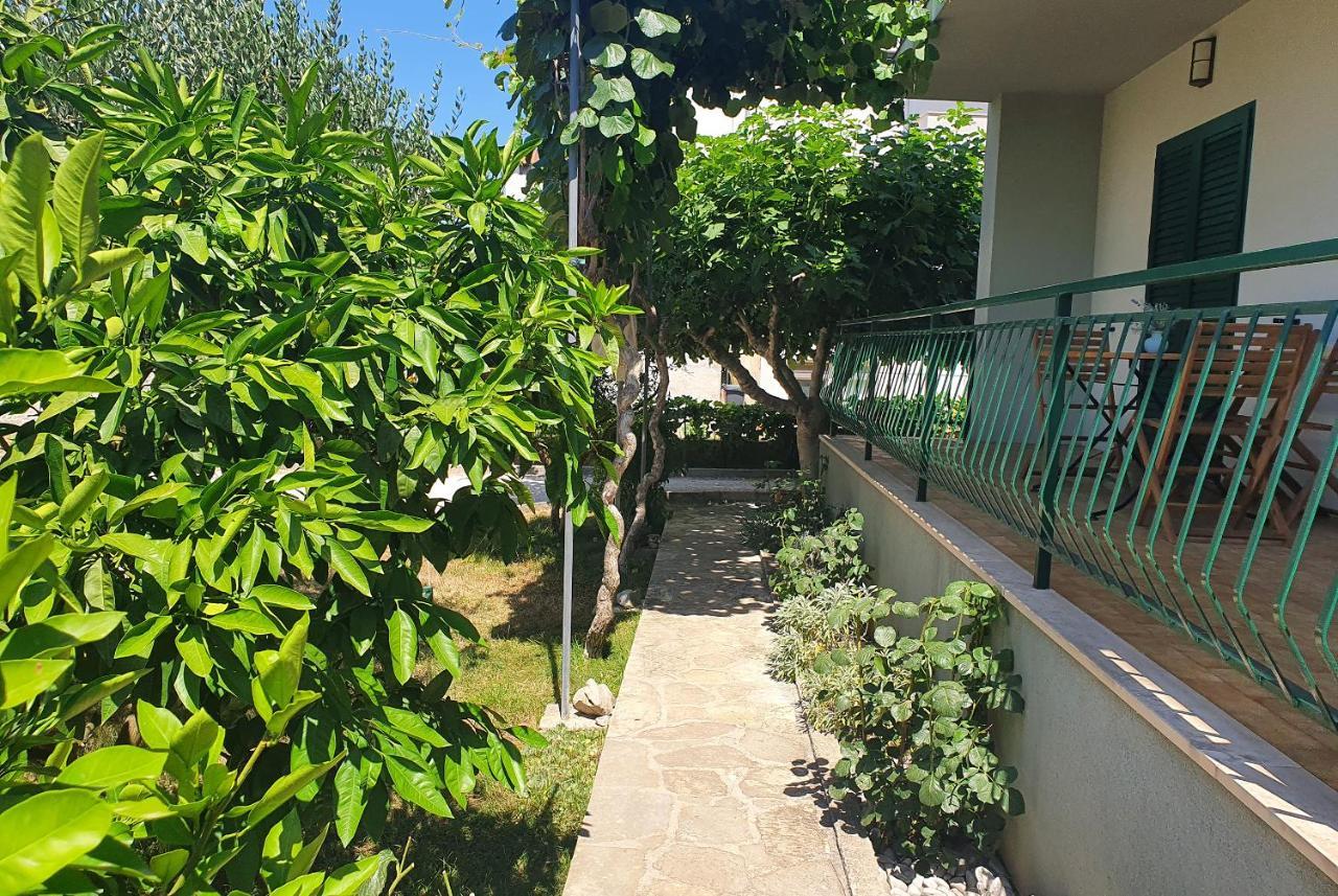 Apartman Maja 扎达尔 外观 照片